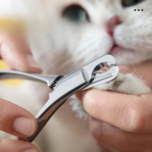 Coupe griffe pour chat - COUPEMETALPOURCHAT™ – Image 4