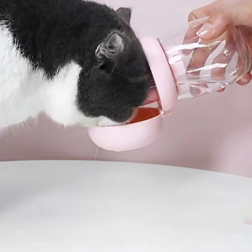 Distributeur eau chat - PORTABLEPOURCHAT™ – Image 2