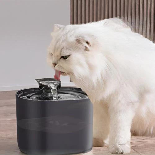 Fontaine à eau chat - RECIRCULATIONPOURCHAT™ – Image 5