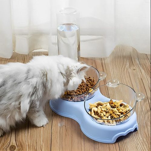 Gamelle pour chat - BORDSURELEVEPOURCHAT™ – Image 3