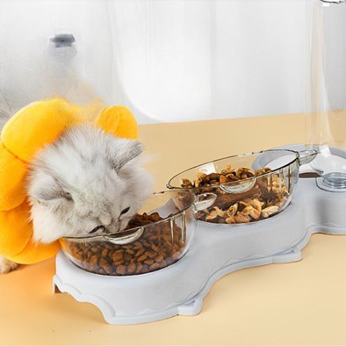 Gamelle pour chat - BORDSURELEVEPOURCHAT™ – Image 4