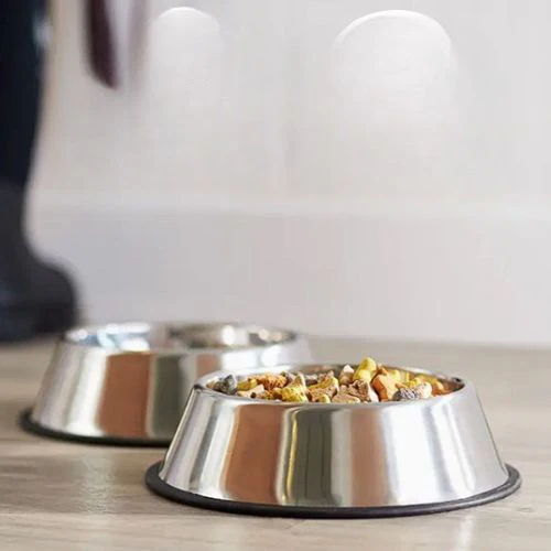 Gamelle pour chat - INOXPOURCHAT™ – Image 8