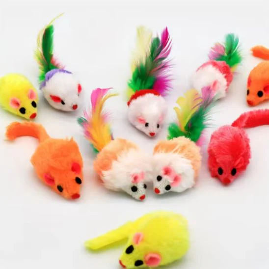 Jouet chat interactif - HOCHETPOUR CHAT™ – Image 4