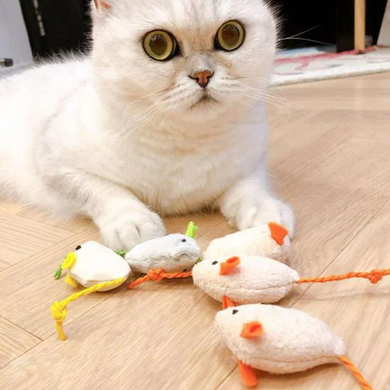 Jouet chat interactif - HOCHETPOUR CHAT™ – Image 2