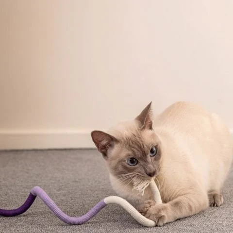 Jouet pour chat - CORDAMORDREPOURCHAT™ – Image 2