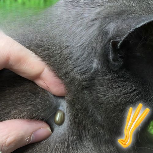 Pince à tique - PINCEPOURCHAT™ – Image 4