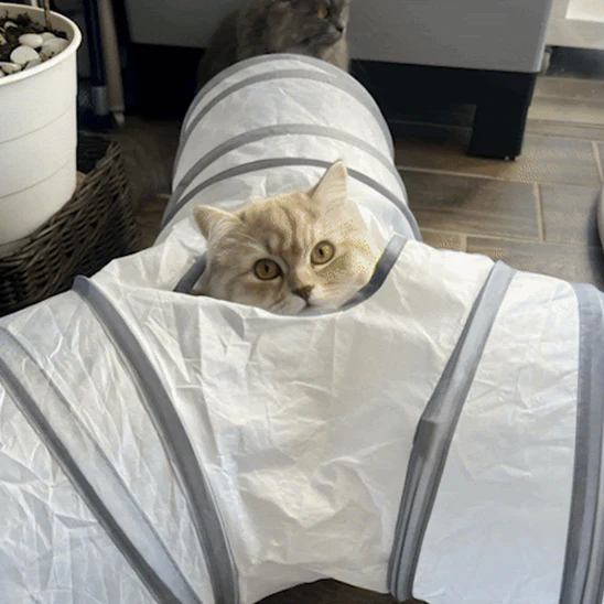 Tunnel chat - BLANCPOURCHAT™ – Image 2