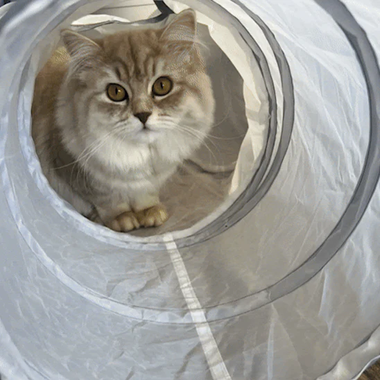 Tunnel chat - BLANCPOURCHAT™ – Image 6